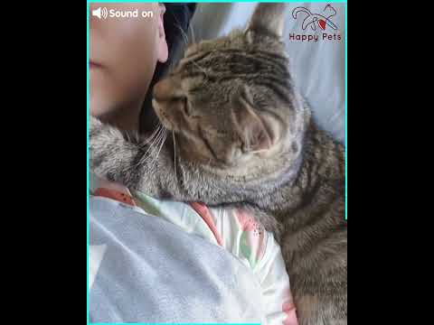 Affectionate Tabby Cat Loves Mom Unconditionally 🐾💖