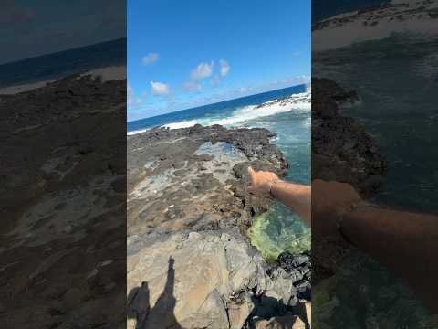 Il y en a 500 à la fin 😱