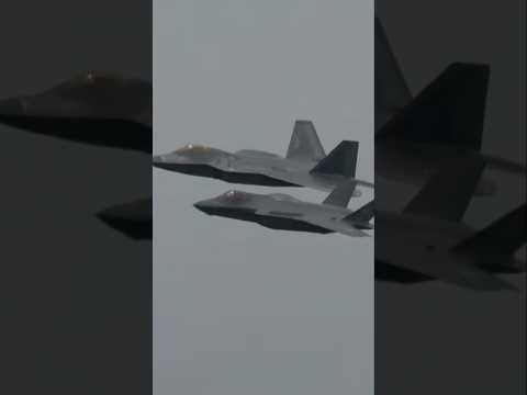 なんかカワイイw F-35とF-22の編隊はまるで雛鳥に寄り添う親鳥だ