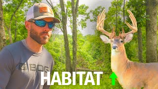 3 Habitat Projects That Are Transforming My Hunting Ground!