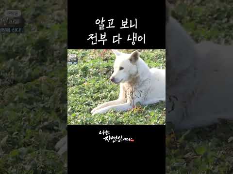 알고 보니 전부 다 <strong>냉이</strong> #shorts