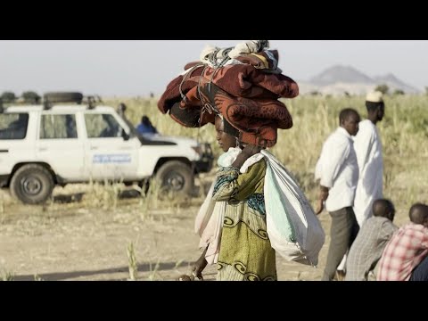 Displaced Sudanese seek refuge in Tawila after fleeing El-Fasher | AFP