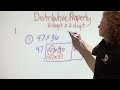 Understanding the Distributive Property