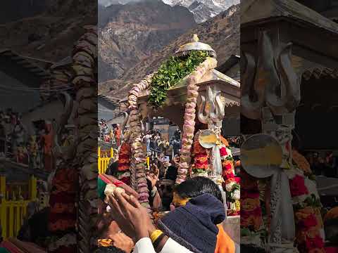 बाबा केदारनाथ की पंच मुखी चल विग्रह उत्सव देव डोली आज मंदिर के गर्भग्रह में विराजमान हो गई है