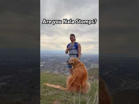 My dog getting recognized in public 😅