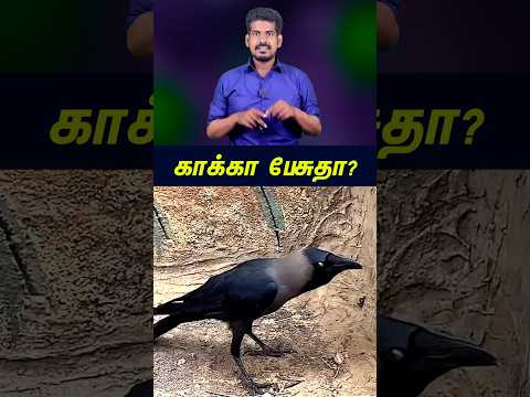 காக்கா சொன்ன அந்த வார்த்தை...#tamilguru #tamilinformation #naveenbharathi