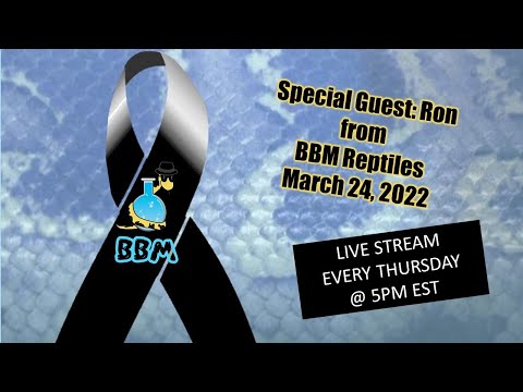 Guest: Ron from BBM Reptiles l bringing the fish & Special Guest_ Ron from BBM Reptiles
YT_ https_//www.youtube.com/channel/UCg1moNX8AOQVuHw5UdSN3mQ
