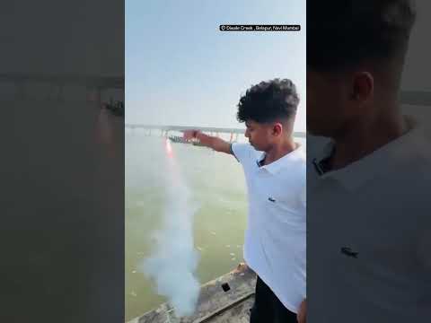 बहिरीनाथ वस्ताद आगमन सोहळा 🙏 #shorts #viral #shortvideo #Bahirinath #subscribe #koliwada #shorts