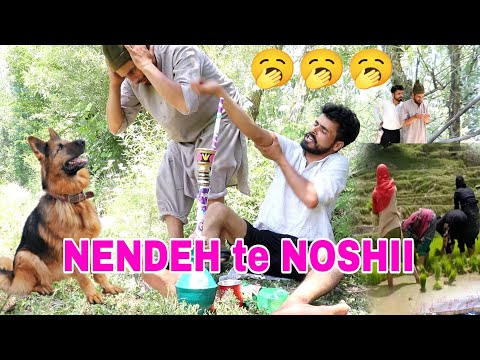 NENDEH te NOSHII Part/2 // kashmiri Doublefaze