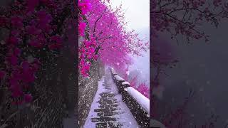 Nature lover #love #travel #nature #mountains #beautiful #newsong #music