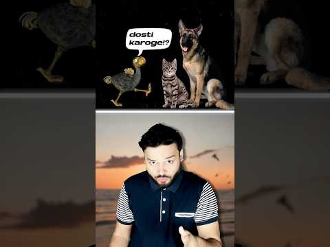 The SHOCKING Truth Behind DODO Bird's Extinction No One Talks About #shorts