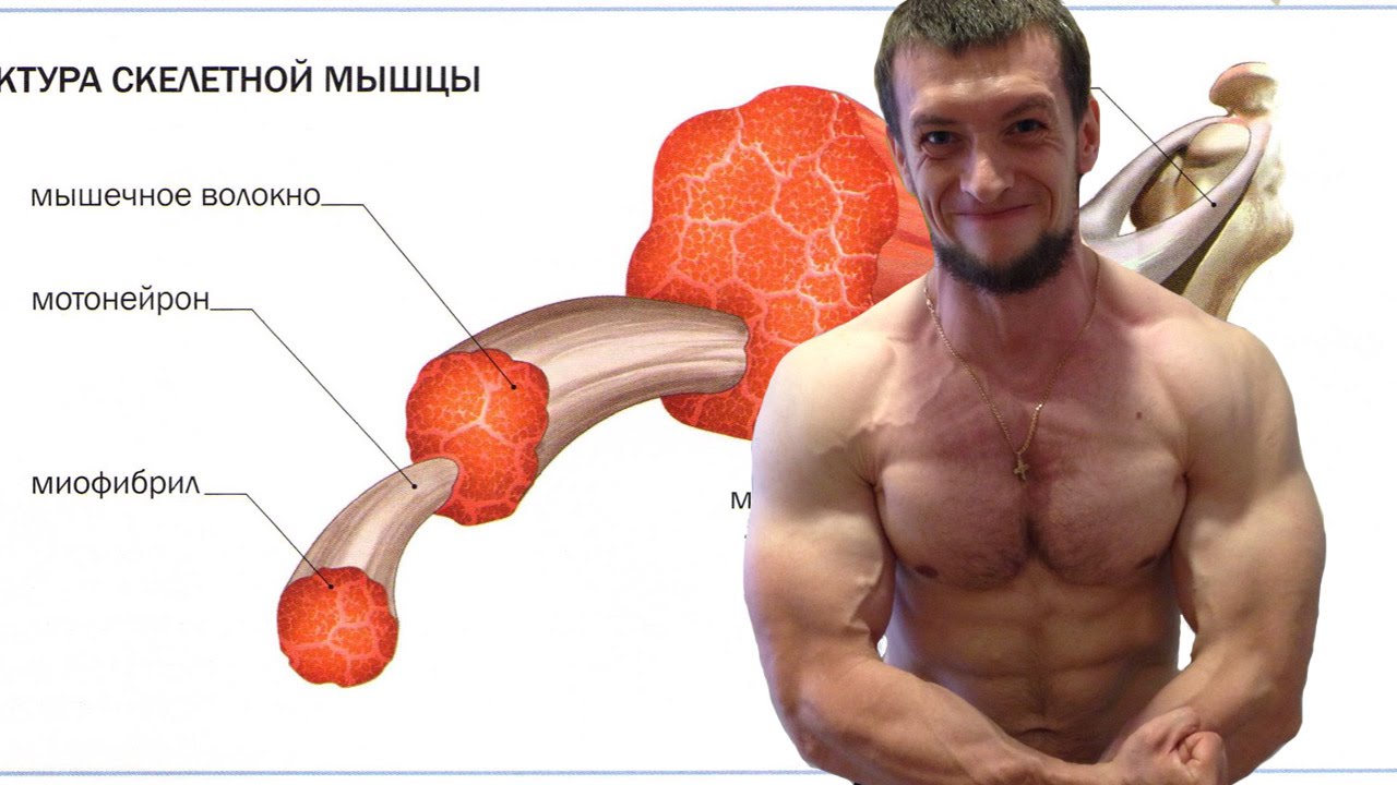 Горят ли мышцы на сушке. Личный опыт