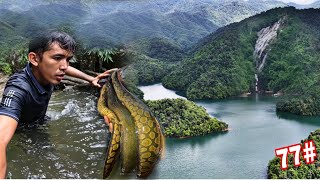 Quá Dáng Sợ ??? Trời Mưa Lớn Thả 100 Lưỡi Câu Mà Loài Cá Này Ăn Không Gỡ Nổi | 77H Ngủ RỪNG Mưa Bão