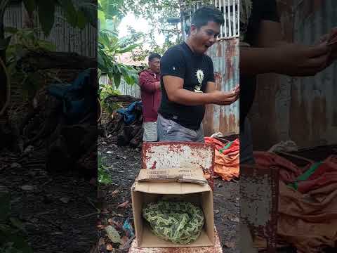 may ahas pala sa loob