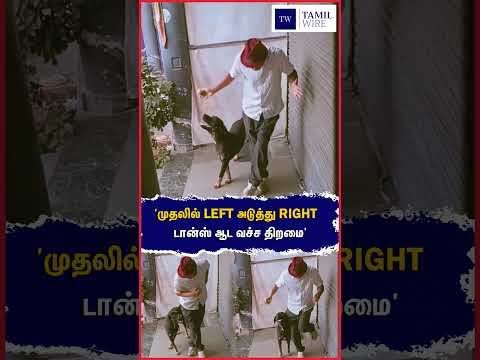 'முதலில் LEFT அடுத்து RIGHT  டான்ஸ் ஆட வச்ச திறமை' #Dog #Dance #animals #animallover #<strong>pets</strong> #viral