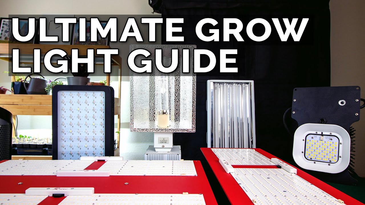 How to Choose a Grow Light: T5 Fluorescent vs. CMH vs. LED Grow Lights Explained
