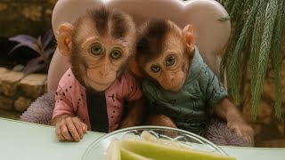 Have They Forgotten They’re Monkeys? A Day in the Life of Loan and Mone 