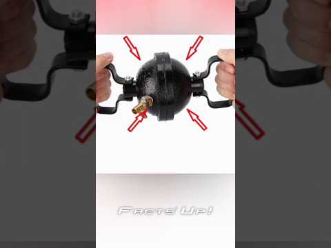 Air's Weight vs. 16 Horses