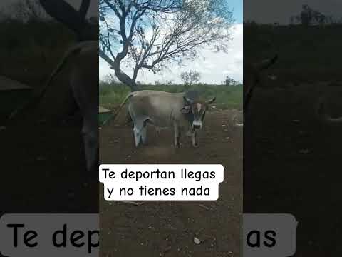 Llegué y no tenía nada 😞