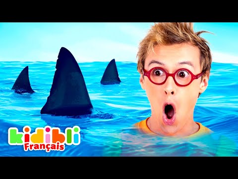 Compilation de Requins | Vidéos Educatives pour Enfants | Kidibli