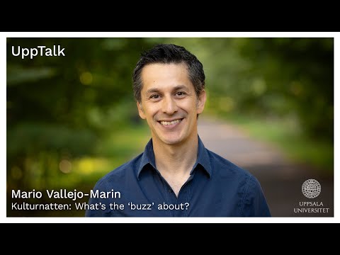 UppTalk at Kulturnatten: What’s the ‘buzz’ about?