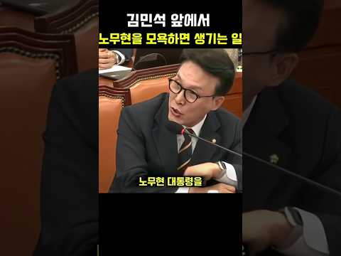 김민석 잎에서 노무현을 모욕하면 생기는 일