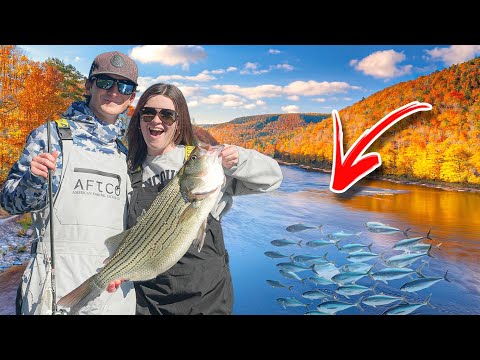 Taking My GIRLFRIEND Fishing For River MONSTERS - Big Bites