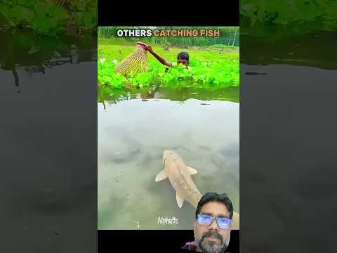 other fishing 🎣 #fishing #funny #cartoon #shortsfeed #trending #travel