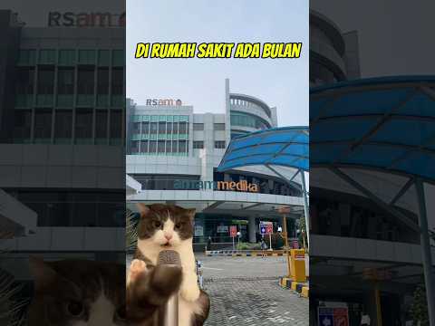 ~bulan di mana mana ada bulan~#memes#cat#kucing
