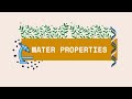 Exploring the Properties of Water