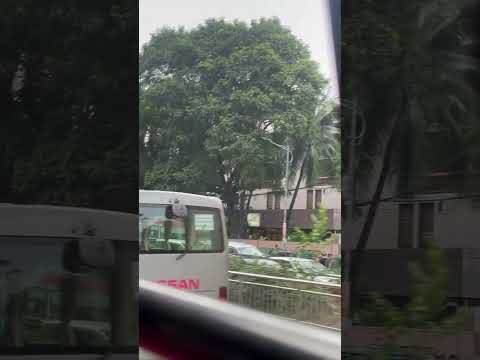 বিএনপির সমাবেশের কারনে প্রচন্ড জ্যাম রাস্তায় #shorts  #bnp #jam #TrafficUpdate