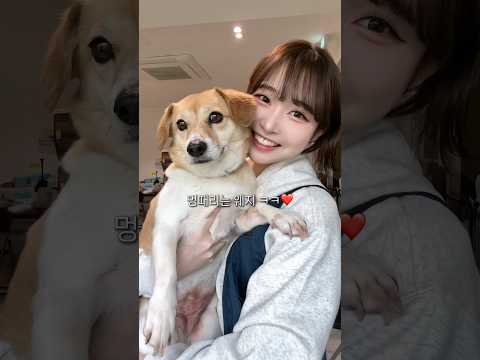 가족을 구합니다 #유기견입양 #윗유행