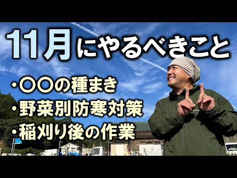 【家庭菜園/自然農法】11月にやるべきこと