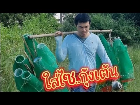 อดสา หาอยูหากิน ใส่กุ้งในป่า