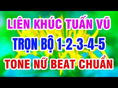 Karaoke Liên Khúc Tuấn Vũ Tone Nữ Trọn Bộ Vol 1,2,3,4,5 – karaoke lk tuan vu tone nữ