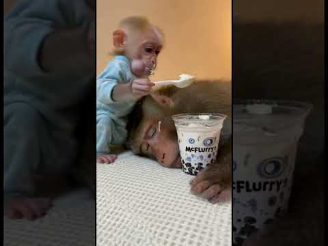 He just wanted icecream 😅 #icecream #mcflurry #funny #mom #fyp