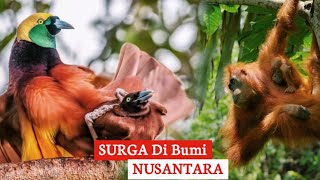 Melihat Kekayaan Alam Indonesia: Flora dan Fauna yang Ajaib dan Unik