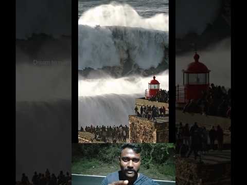 Do you know where the biggest waves in the world come from? #dreamtoswim #seaview