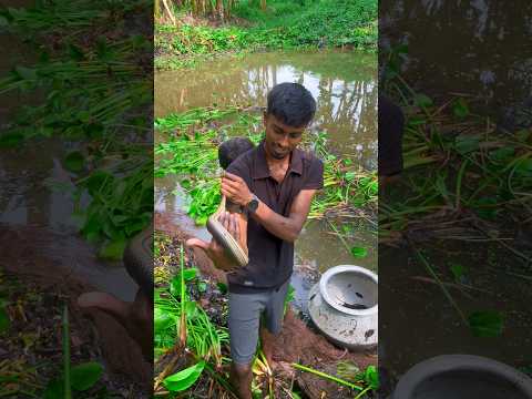 সাপটাকে বিলে ছেড়েদিয়ে কতটা ভুল করলাম🐍😔(1307) village fishing video #snakefish