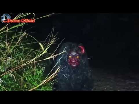 Merinding... Inilah Kumpulan Penampakan Hantu Paling Aneh Saat Live Streaming Penelusuran