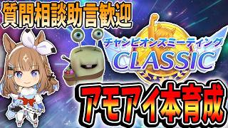 【ウマ娘】サポカに虹結晶突っ込んでアモアイ本育成開始！！質問相談歓迎【田中くぅすけ】#ウマ娘プリティーダービー