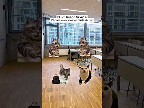 POV : Quand tu vas à l’école avec des enfants riches 💀