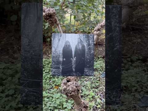 @OfficialsunnO is putting the SUB back in Sub Pop.…