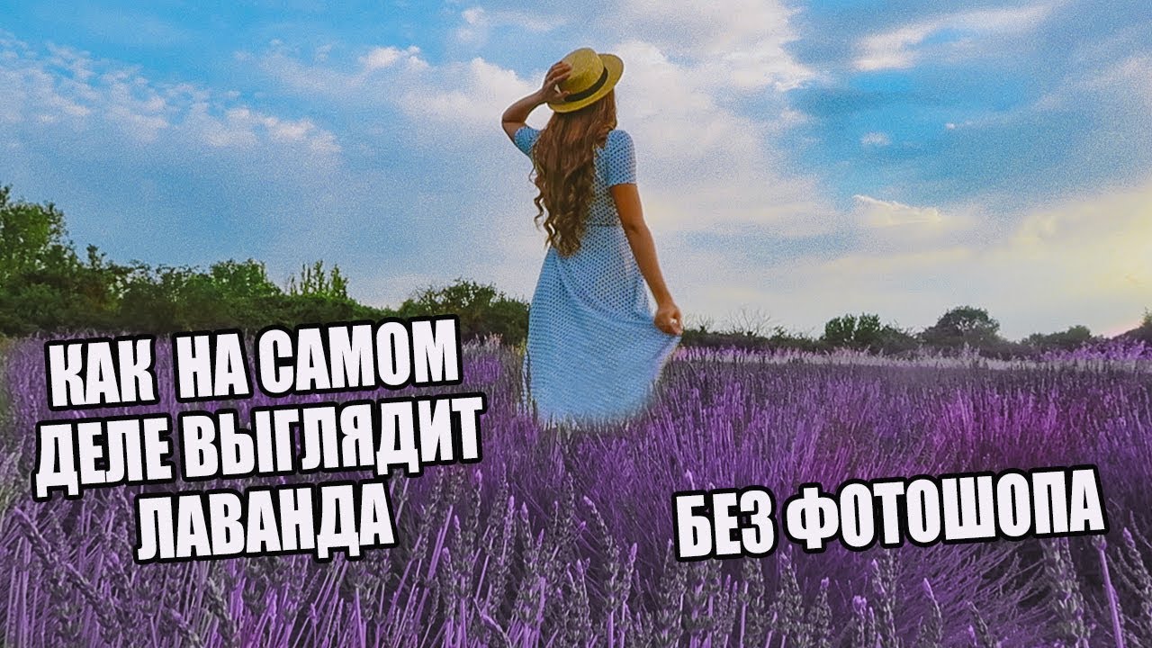 Что ждало нас на лавандовом поле ожидание - реальность в провансе влог