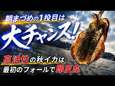 【しまなみ海道】朝まづめについに1投目で…!?【エギング】