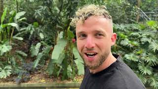 NOFAP + ALIMENTATION ANTI INFLAMATOIRE = SUCCES !