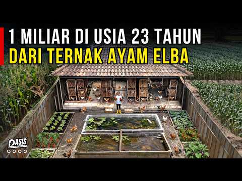 1 MILIAR PERTAMA DI USIA 23 TAHUN DARI TERNAK AYAM ELBA SISTEM INTEGRATED FARMING | CERITA USAHA
