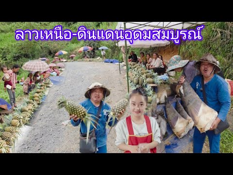 #ลาวเหนือ ดินแดนอุดมสมบูรณ์ #บรรยากาศ #อาหารพื้นบ้าน #ผลไม้ พืชผัก#วิถีชาวบ้าน น่ารัก #แขวงเชียงขวาง