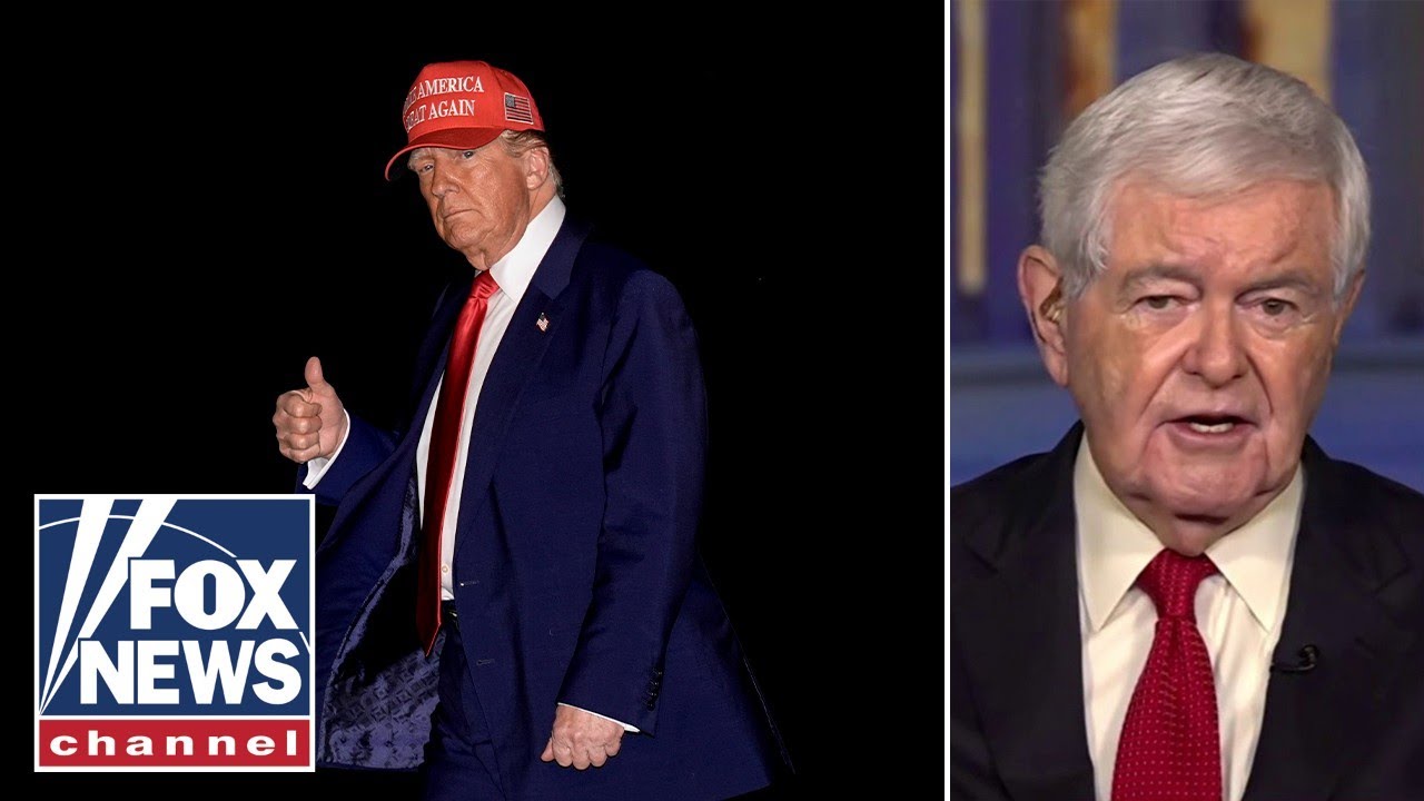 Newt Gingrich: The left is ‘terrified’ and lying relentlessly