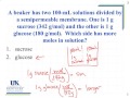 Red Blood Cell Solutions and Effects